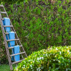 https://villa-olivers-vera.allmallorcahotels.com